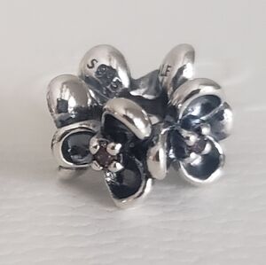 Pandora Rose Wanda's Garden I Spacer